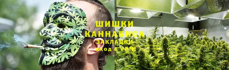 где купить наркоту  Олёкминск  Каннабис Ganja 